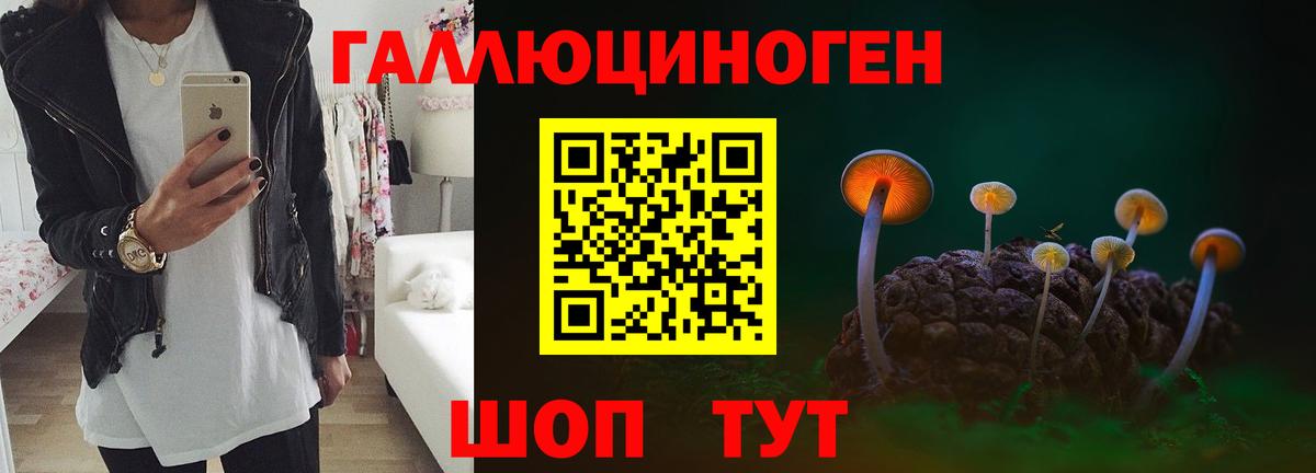 Галлюциногенные грибы Psilocybe  магазин продажи   Комсомольск-на-Амуре  Вход с VPN 